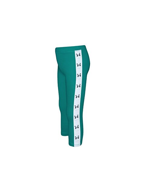 Lovetti Koyu Yeşil Kız Çocuk Şardonlu Yanda Panda Baskılı Tayt - S000422431-19416