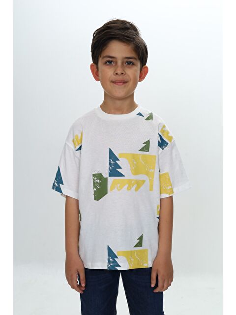 Toontoykids Erkek Çocuk Renkli Grafik Baskılı Tişört - S000371677-19965