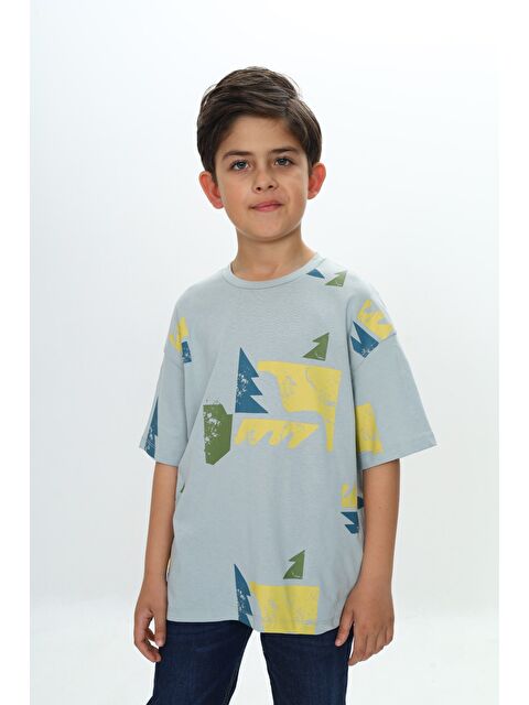 Toontoykids Erkek Çocuk Renkli Grafik Baskılı Tişört - S000371677-526