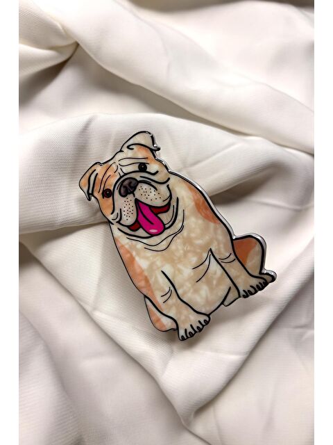 New Obsessions Bulldog Asetat kadın Mandal Toka - S000350779-19966