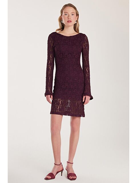 TUDORS Kadın Slim Fit Dar Kesim Uzun Kollu Sırt Dekolteli Örgü Detaylı Mürdüm Elbise - S000520492-20036