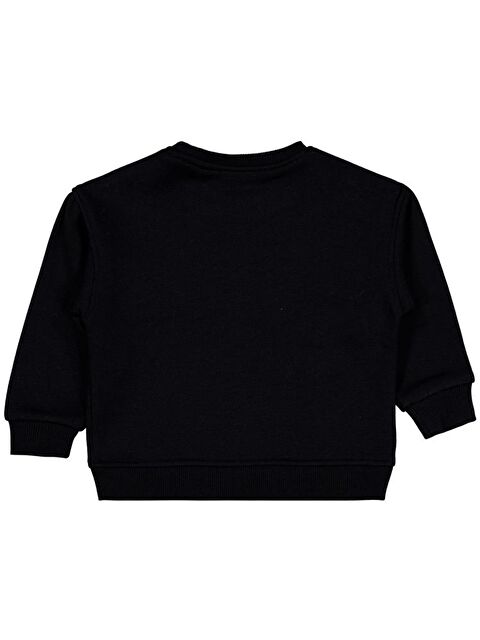 Civil Girls Fiyonklu 2-5 Yaş Sweatshirt - S000477203-19351