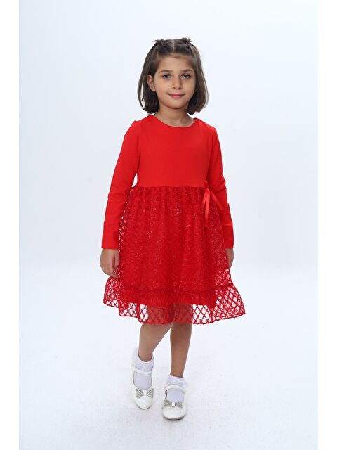 Toontoykids Kız Çocuk Fırfırlı Tüllü Elbise - S000473314-20045