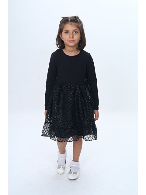 Toontoykids Kız Çocuk Fırfırlı Tüllü Elbise - S000473314-19351