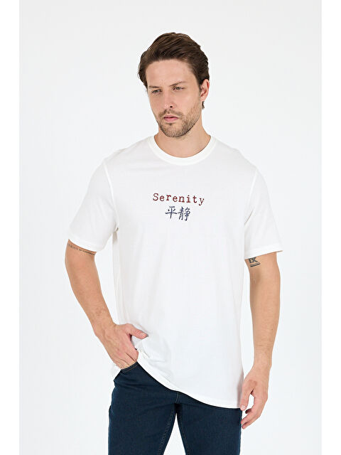 Rodi %100 Pamuk Bisiklet Yaka Baskılı Rahat Kesim, Nefes Alabilir Kumaş Erkek Tişört Basic Tişört 0104 - S000402854-19965