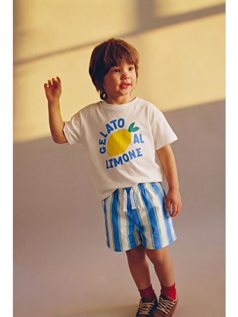 Magu Erkek Çocuk Pamuklu Beyaz Limon Baskılı T-Shirtli Çizgili Şort Takım - S000513784-23173