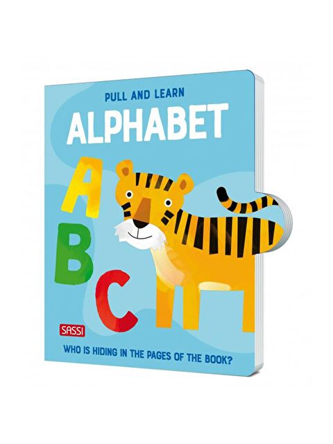 Sassi Pull and Learn Alphabet - S000378194-10231