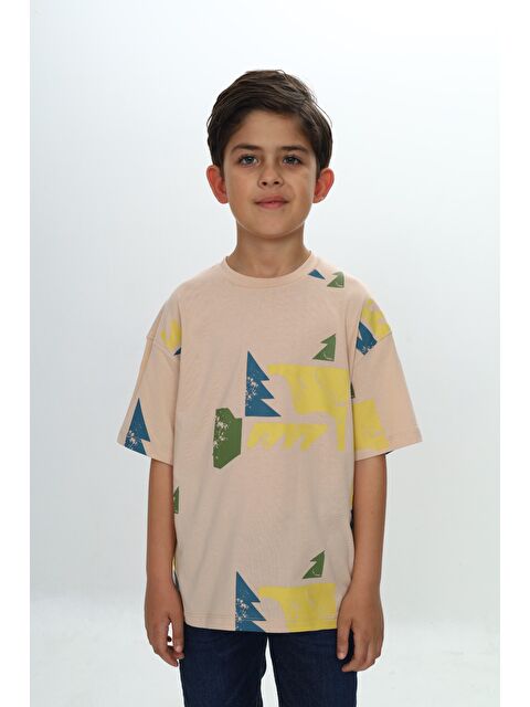 Toontoykids Erkek Çocuk Renkli Grafik Baskılı Tişört - S000371677-19928