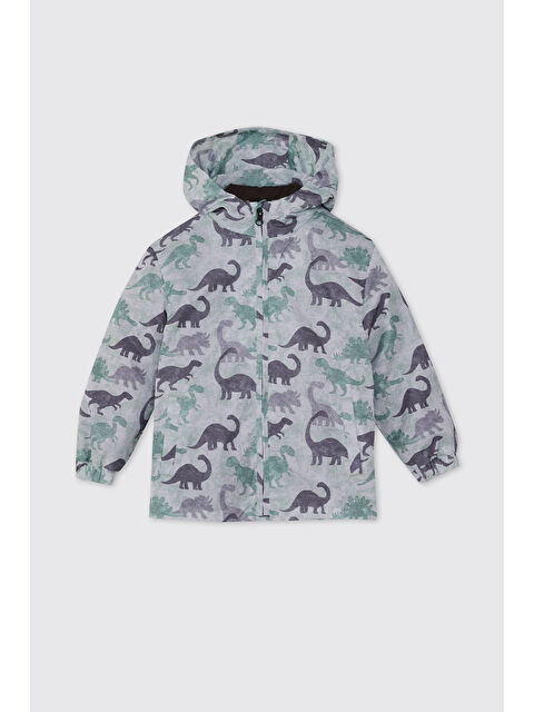 Panço Erkek Bebek Dinozor Desenli Antrasit Mont - S000513790-29666