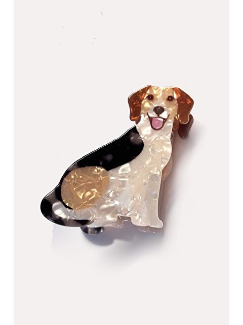 New Obsessions Asil Köpek Asetat Mandal Toka - S000359460-23173