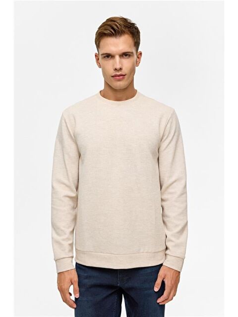 Süvari Bej Regular Düz Bisiklet Yaka Sweatshirt - S000460383-19928