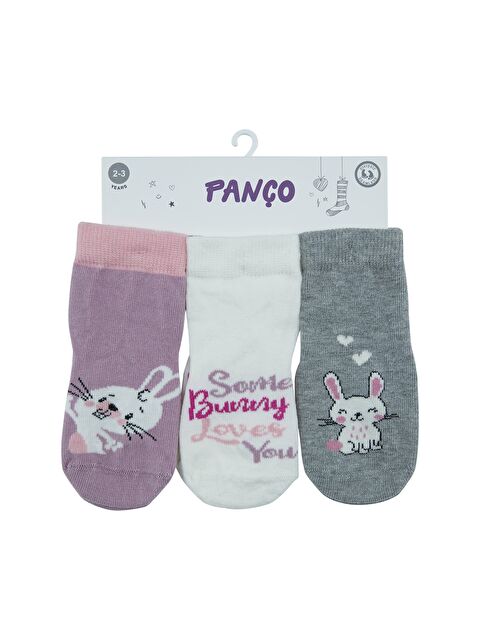 Panço Kız Çocuk 3'lü Soket Çorap Set - S000399907-23173