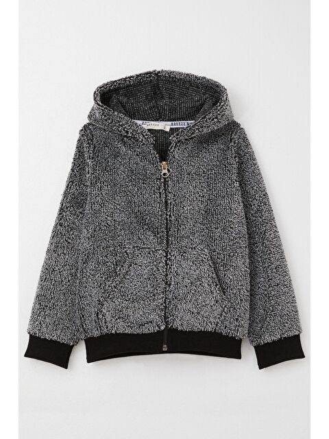 Breeze Erkek Bebek Pelüş Hırka Kapüşonlu Fermuarlı Siyah (9 Ay) - S000325359-19351