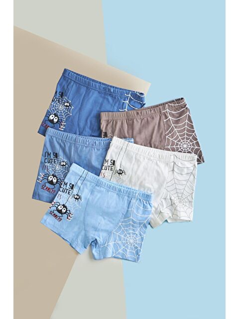 Katia And Bony Erkek Çocuk 5 Li  Paket Örümcek Baskılı Boxer Çok Renkli - S000393730-23173