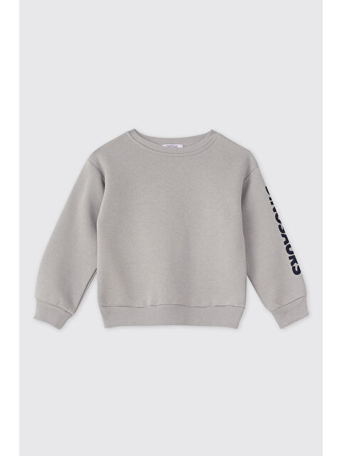 Panço Erkek Bebek Gri Sweatshirt