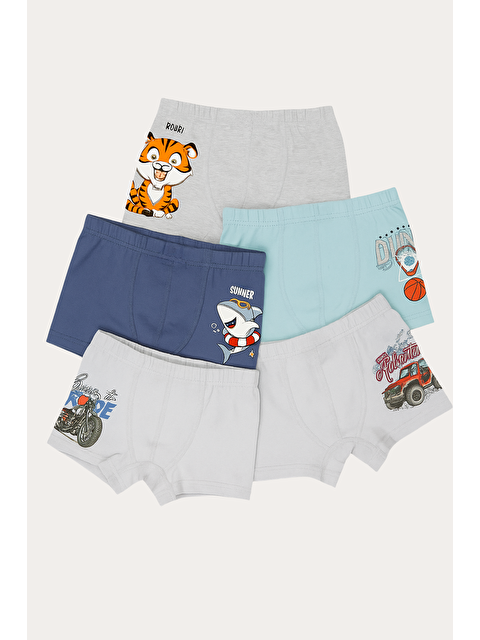 Katia And Bony Erkek Çocuk Desenli 5'Li Boxer - S000417529-23173