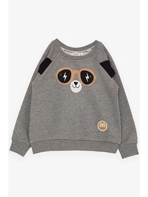 Breeze Erkek Çocuk Sweatshirt Sevimli Ayıcık Baskılı Kulakları Hareketli Koyu Gri Melanj (2-6 Yaş) - S000110802-29351