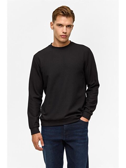 Süvari Siyah Regular Düz Bisiklet Yaka Sweatshirt - S000460426-19351