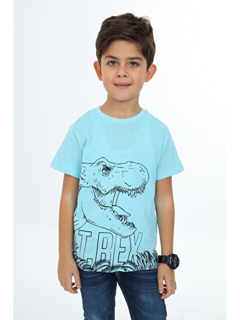 Toontoykids Erkek Çocuk Baskılı Tişört - S000343857-20054