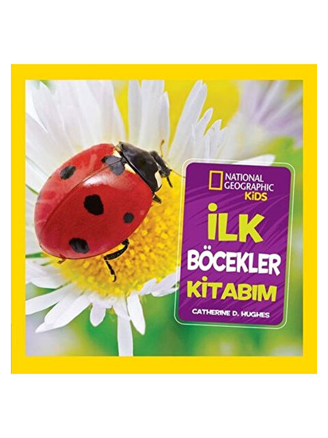 Beta Kids İlk Böcekler Kitabım Catherine D. Hughes - S000338840-10231