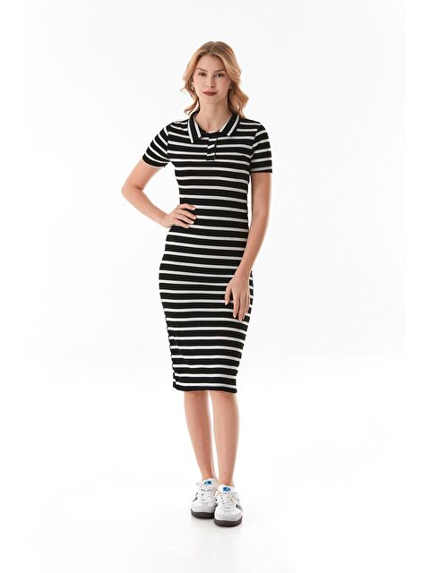 Fullamoda Çizgili Polo Yaka Yarım Düğmeli Elbise - S000380741-19351