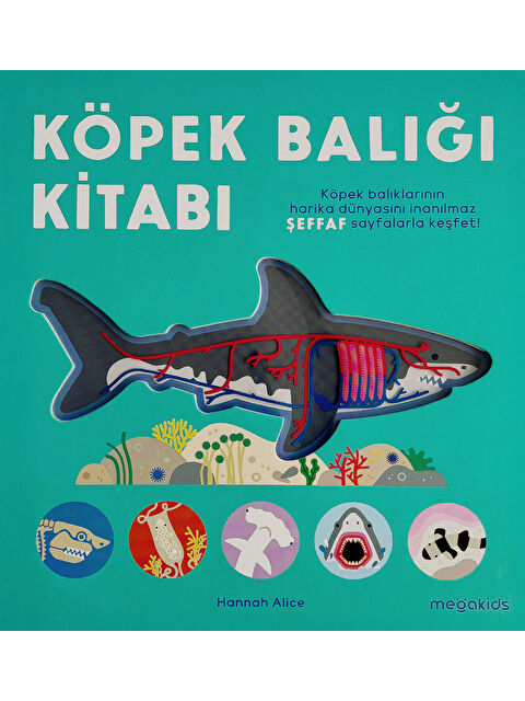 Megakids Yayıncılık Köpek Balığı Kitabı - S000449015-23173