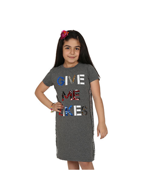 Toontoykids Kız Çocuk Gıve Me Pul Nakışlı Elbise - S000254201-29666