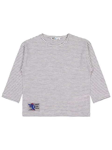 Civil Boys Timsah Etiketli 2-5 Yaş Sweatshirt - Gri 5-6 Yaş - S000512281-20600