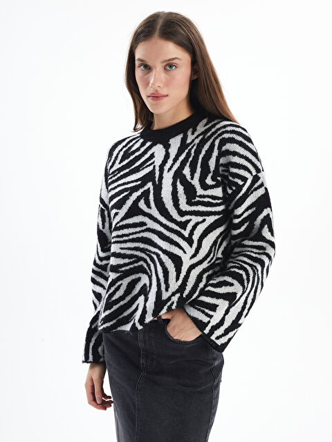 Dexia Messina   Zebra Desen Örgü Detaylı Bisiklet Yaka Kazak   Zebra Renk - S000312364-37424