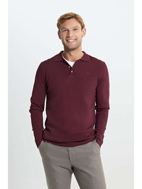 Altınyıldız Classics Erkek Bordo Standart Fit Normal Kesim Polo Yaka Basic Triko Kazak - S000402942-19951