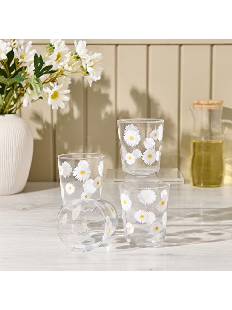 RAKLE Fiona 4'lü Bardak Seti - Şeffaf - 315 ml - S000371081-26865