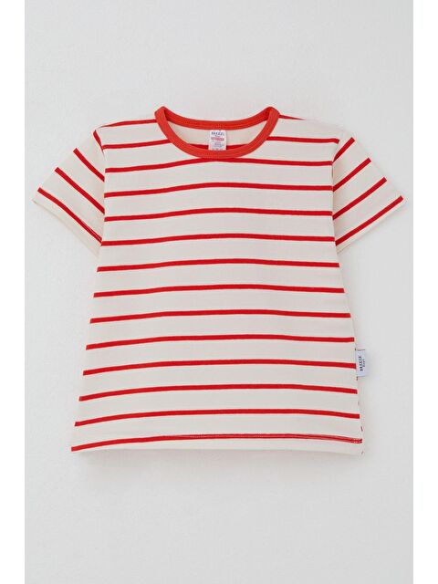 Breeze Erkek Çocuk Tişört Çizgili Ekru (3-6 Yaş) - S000401071-19965