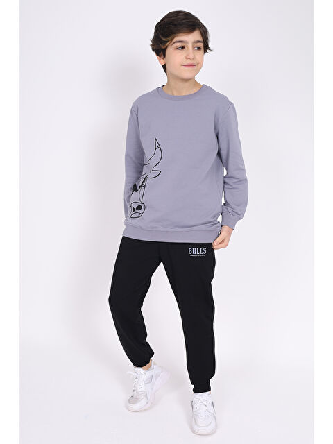 Toontoykids Erkek Çocuk Baskılı Eşofman Takım - S000270883-29351