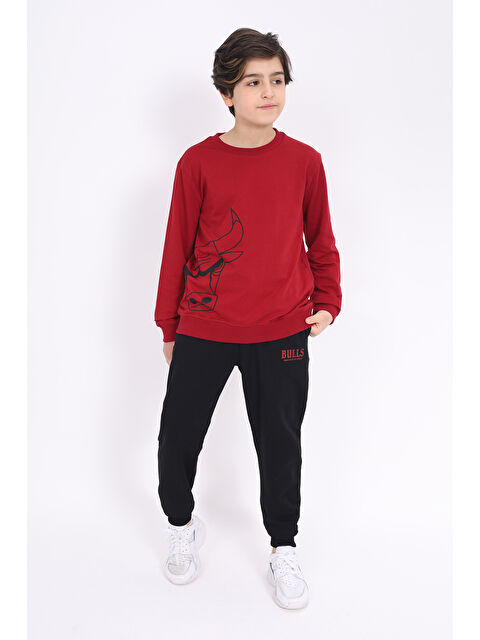 Toontoykids Erkek Çocuk Baskılı Eşofman Takım - S000270883-19951