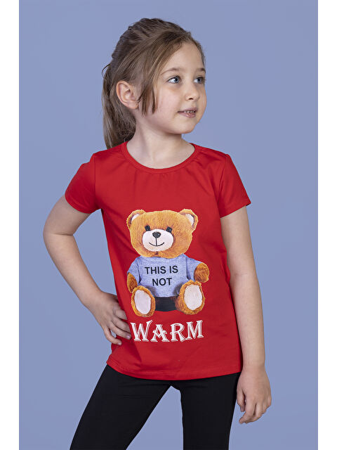 Toontoykids Kız Çocuk Ayıcık Baskılı Tişört