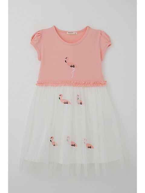 Breeze Kız Çocuk Elbise Sevimli Flamingo Nakışlı Tüllü Somon (4-8 Yaş) - S000401092-24085