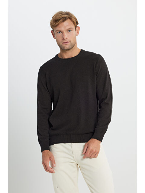 Altınyıldız Classics Erkek Kahverengi Pamuklu Standart Fit Normal Kesim Bisiklet Yaka Jakarlı Triko Kazak - S000402999-19413