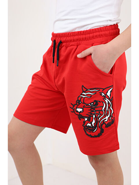 Toontoykids Erkek Çocuk Baskılı Şort - S000417462-20045