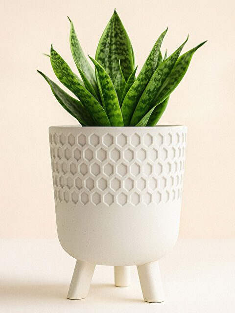 Havalı Tasarım Petek Model Ayaklı Saksı Büyük Boy - S000414095-37198