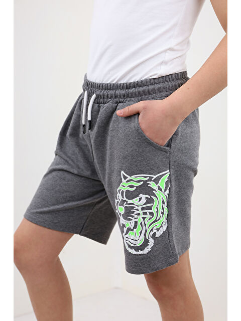 Toontoykids Erkek Çocuk Baskılı Şort - S000417462-29666