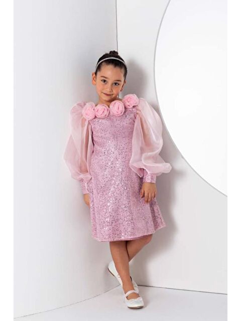 Riccotarz Kız Çocuk Yakası Boydan Gül Broş Detaylı Bilekleri ve Üzeri Pullu Karpuz Kollu Pembe Elbise - S000393848-20024