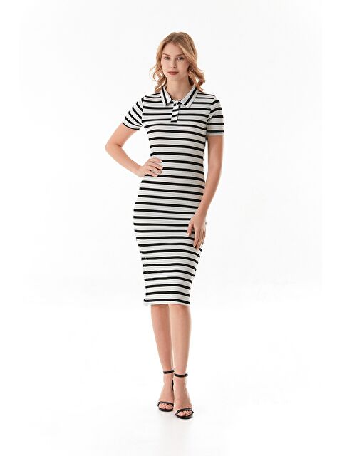 Fullamoda Çizgili Polo Yaka Yarım Düğmeli Elbise - S000380741-20063