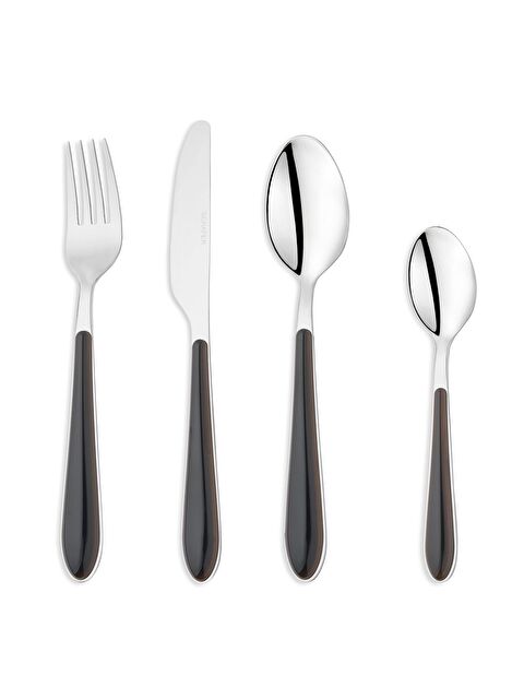 SCHAFER Mona 24 Parça Çatal Kaşık Bıçak Takımı-Siyah - S000221057-19351