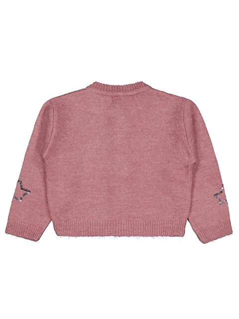 Civil Girls Pullu Yıldız Nakışlı 2-5 Yaş Hırka - Pembe 2-3 Yaş - S000494762-20024