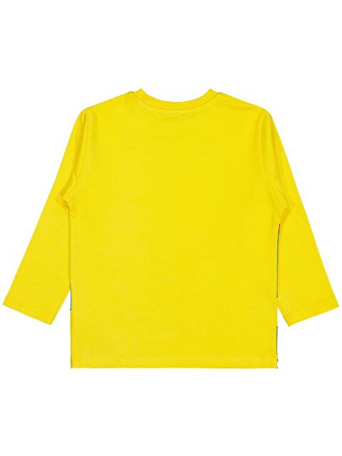 Civil Boys Colour Dinozor Baskılı 2-5 Yaş Sweatshirt - S000467857-20072