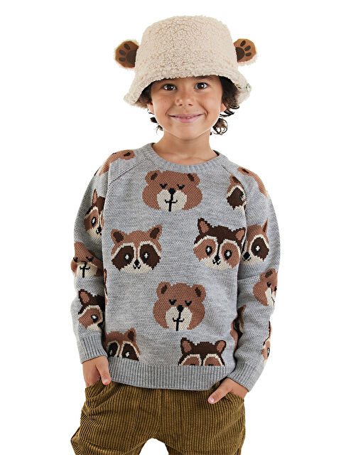 Denokids Ayı Rakun Erkek Çocuk Gri Triko Kazak - S000424488-20600
