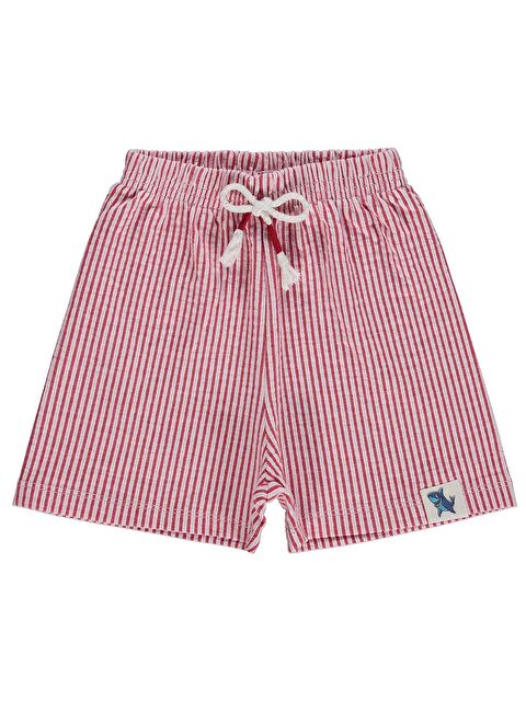 Civil Boys Köpekbalığı Kendinden Çizgili 2-5 Yaş Şort - Kırmızı