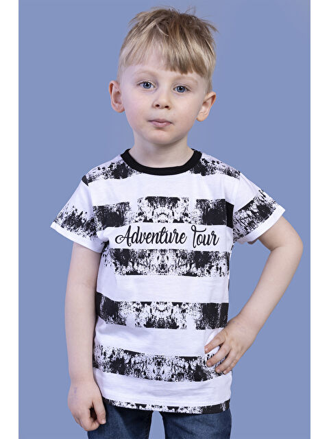 Toontoykids Erkek Çocuk Çizgi Desenli Tişört - S000417886-20063