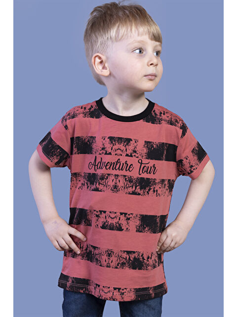 Toontoykids Erkek Çocuk Çizgi Desenli Tişört - S000417886-20048