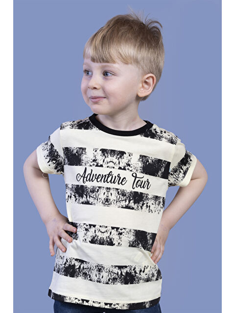 Toontoykids Erkek Çocuk Çizgi Desenli Tişört - S000417886-20072